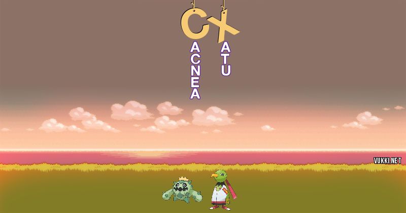 Equipo Pokémon de cx383